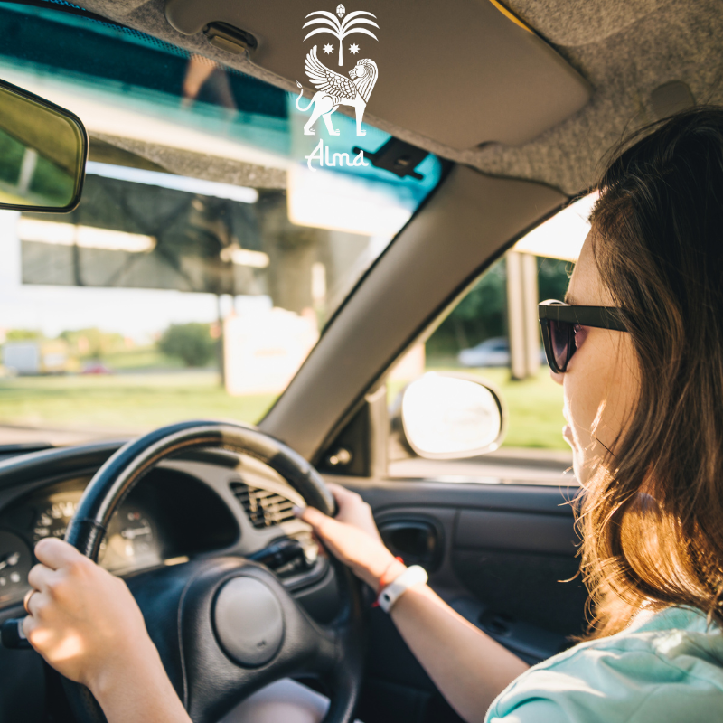 DriveMeScent-Car Diffuser